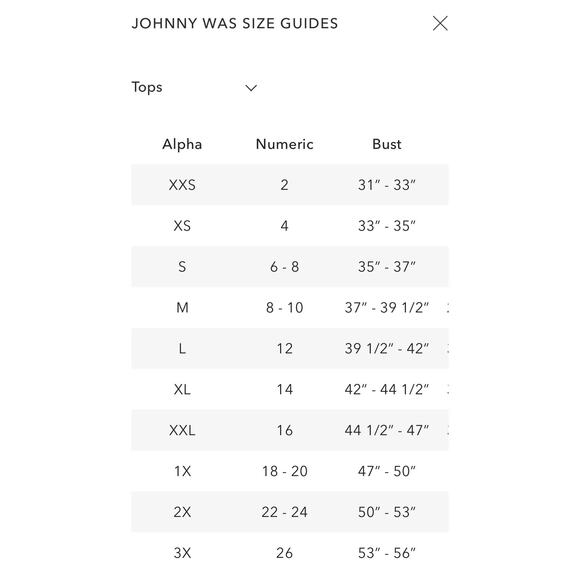 NEW Eleanor Mesh SS Tee Astride Size XL - Picture 5 of 5